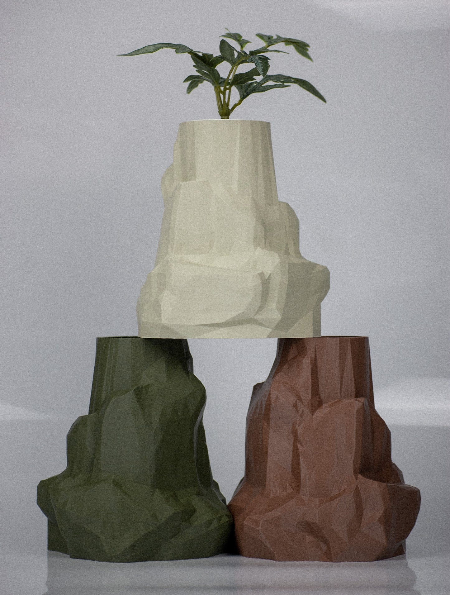 Rock Pot / Forest