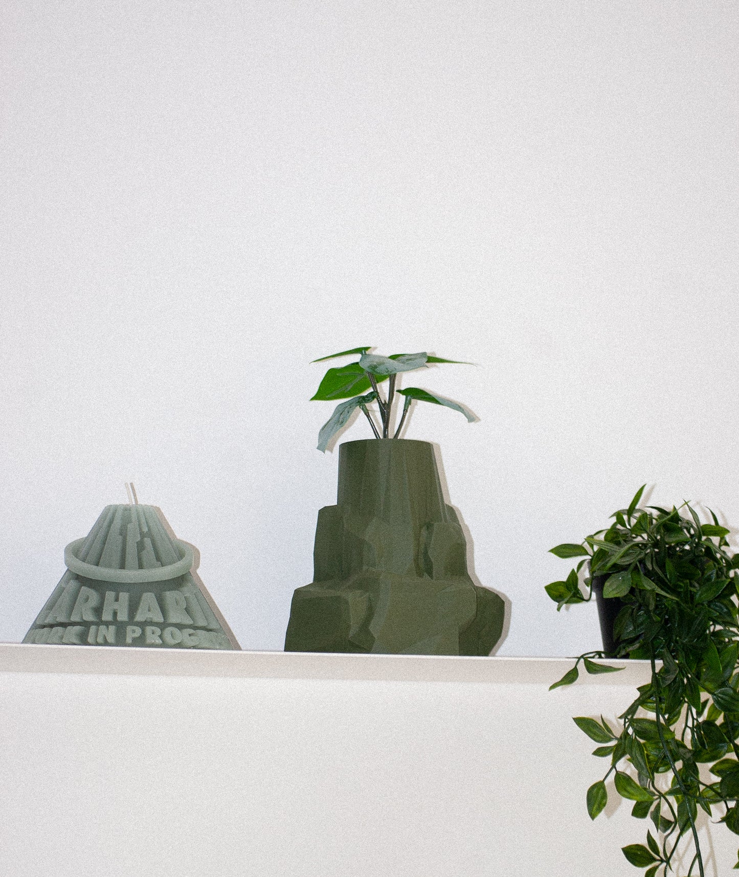 Rock Pot / Forest