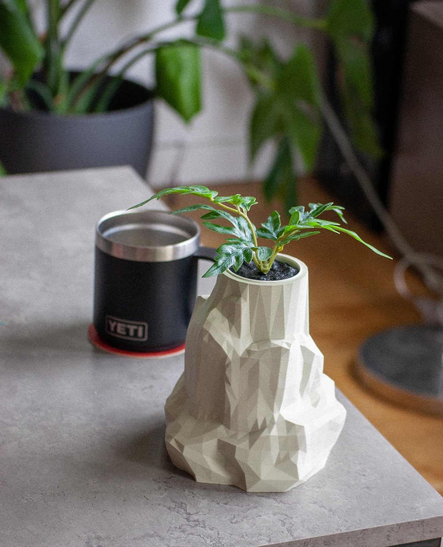 Rock Pot / Stone