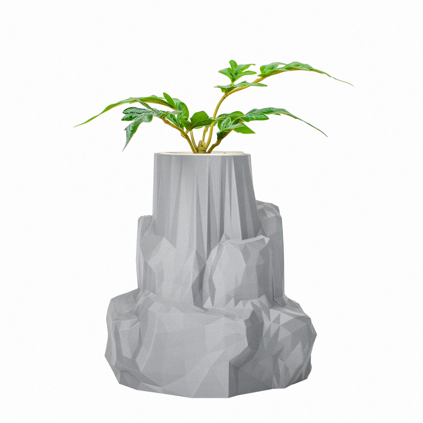 Rock Pot / Mist